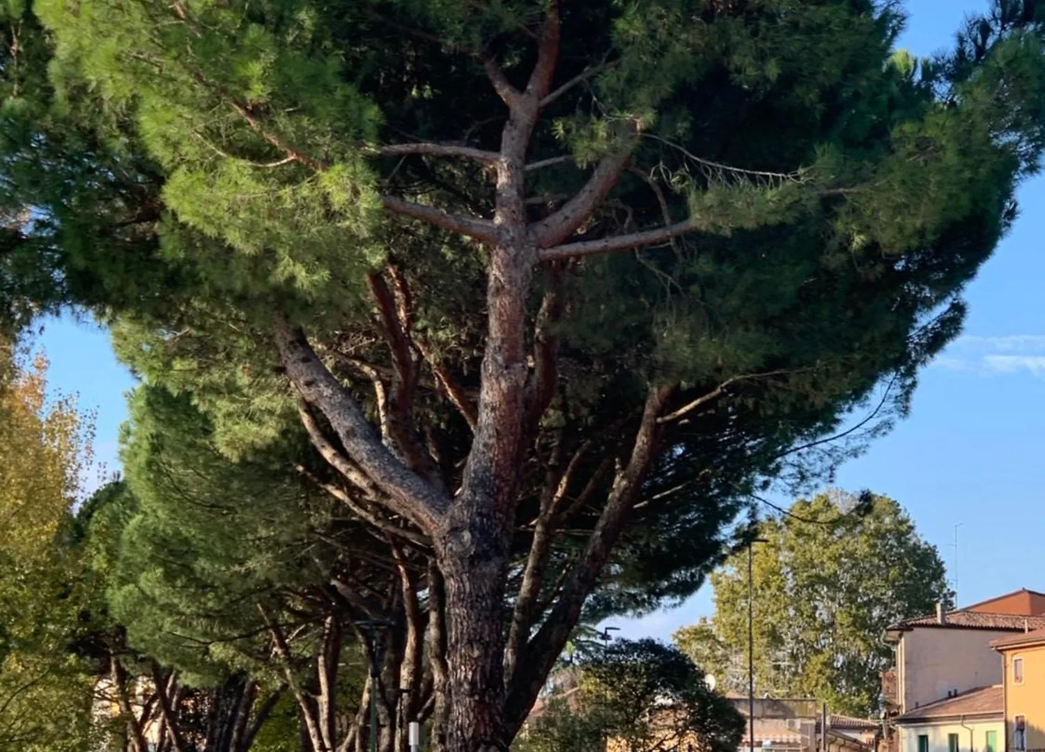 Vivere Verona Original Apartment